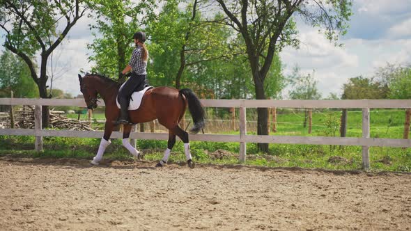 Young Girl Riding On The Back Of Her Dark Brown Horse  Horse Riding For Leisure alt