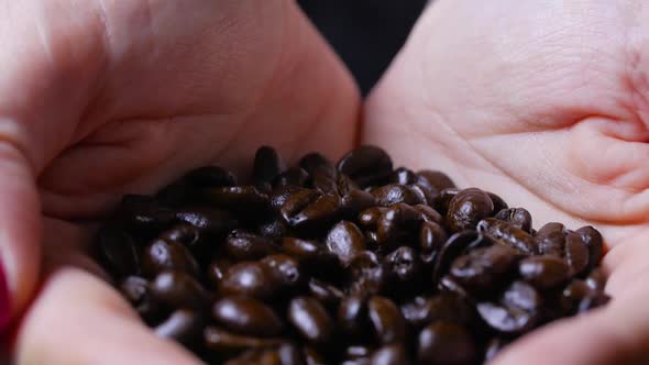 Revealing Female Hands Holding A Bunch Of Brown Coffee Beans