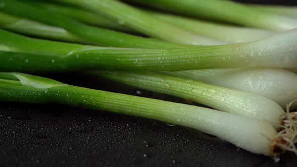 Close Up of Fresh Green Onions with Water Drops Rotate on Black Tray