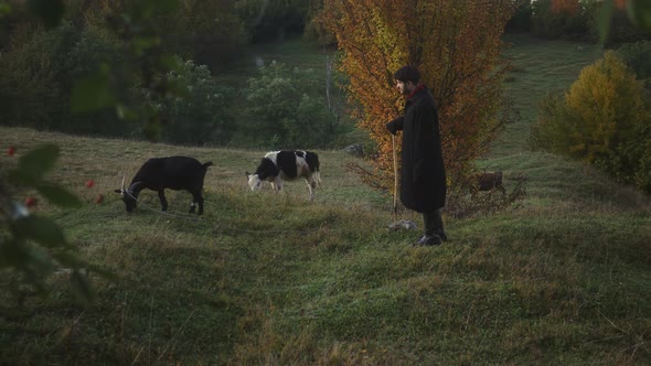 A Young Stylish Guy Walks with a Goat Near His House in Forest alt