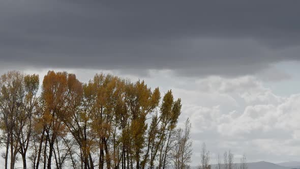 Timelapse of storm clouds moving through the sky behind trees alt