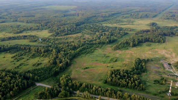 Flying Low Over the Trees Topdown View of the Summer Forest