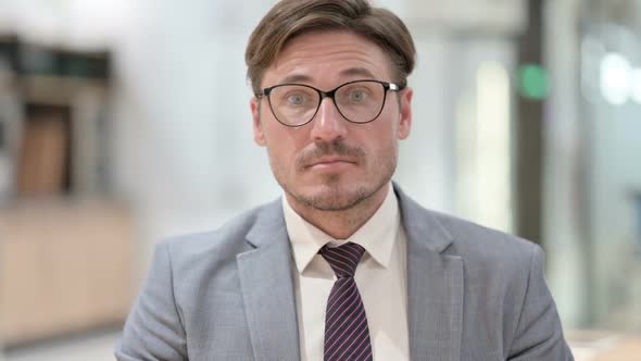 Portrait of Assertive Businessman with Pointing at the Camera alt