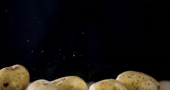 Raw Potato Falls Into the Water
