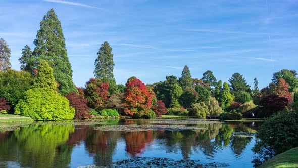 Autumn Landscape in Sheffield Park and Garden alt