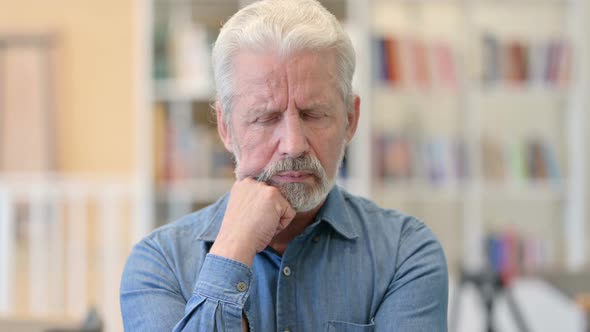 Sleeping Old Man alt