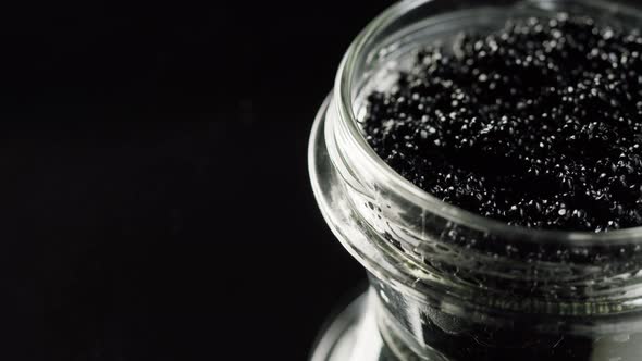 Black Caviar Closeup alt