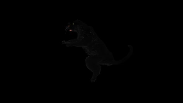 Panther HD alt