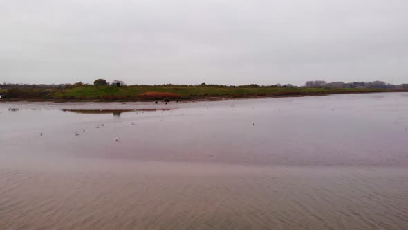Sea Fowls On Peaceful Lake At Crezeepolder In South Holland, Netherland. Aerial alt