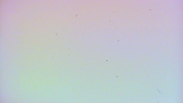 Color Film Scratch Noise Background alt