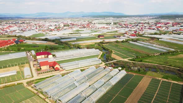 Aerial View Fabulous City Where Vegetables are Grown alt