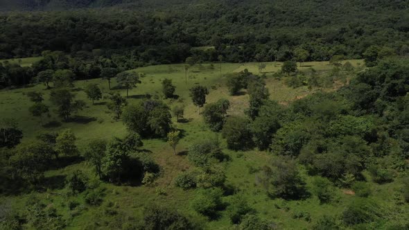 Uncleared wilderness in the Brazilian savannah still safe from deforestation - aerial pull back view alt