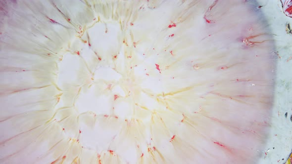 Abstract Grunge Color Ink Paint Spread Explosion Narrowing Space Explosion Background alt