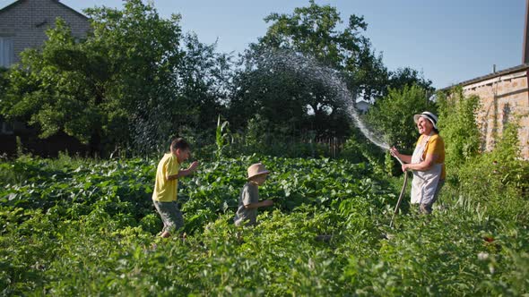 Vacation in Village Joyful Grandmother Splashes Water to Her Happy Grandchildren While Watering a alt