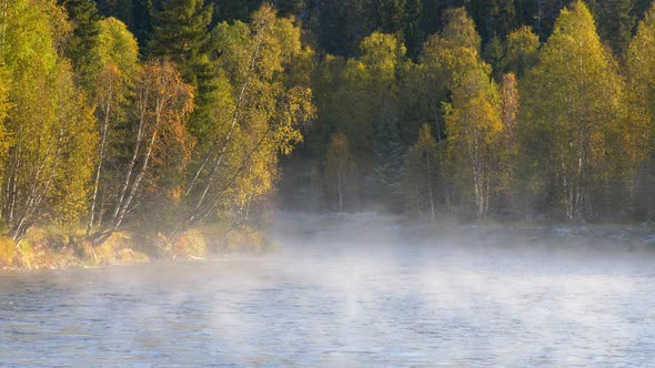 Foggy River and Autumn Trees Landscape. Autumn Finnish Concept in Oulanka National Park alt