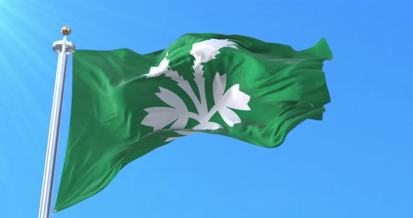 Flag of Oppland fylke, Norway alt