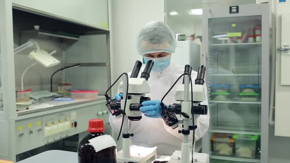 A Scientist Works with a Microscope in the Laboratory