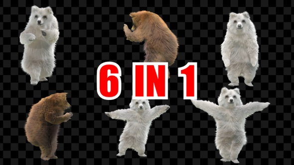 Bear Dancing 6 Pack alt