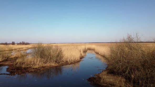 Aerial view of the lake overgrown with brown reeds, lake Pape nature park, Rucava, Latvia, sunny spr alt