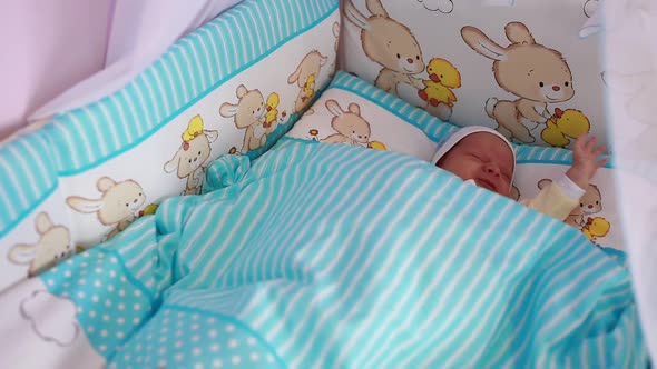 Little Baby Sleeping in Crib alt