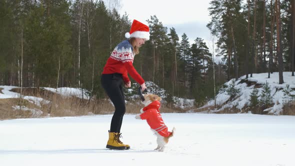 A girl in a sweater and a red cap plays with a dog and a rubber toy on the ice of the lake against alt