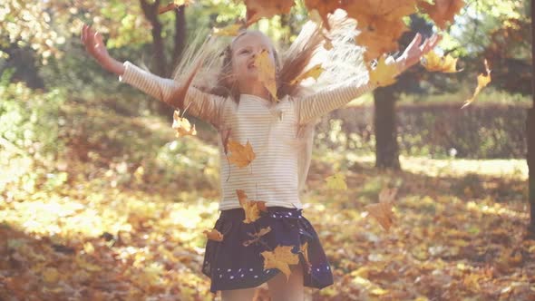 Little Girl Throwing Bunch of Yellow Leaves While Having Fun on Sunny Day in Autumn Park