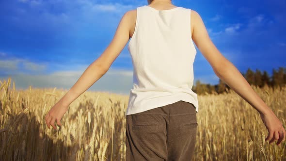 Happy Boy in a Blue Hat Walks on a Golden Wheat Field on a Sunny Day