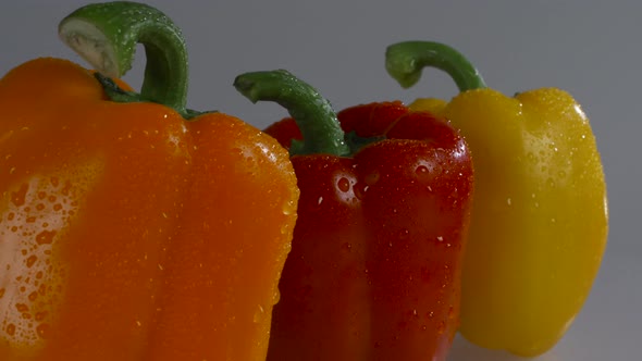 Fresh red, yellow, and orange peppers on a white background with water droplets. alt