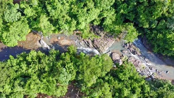 Top Down View Of River With Green Vegetation, Rio Higuero In Dominican Republic - aerial drone shot alt