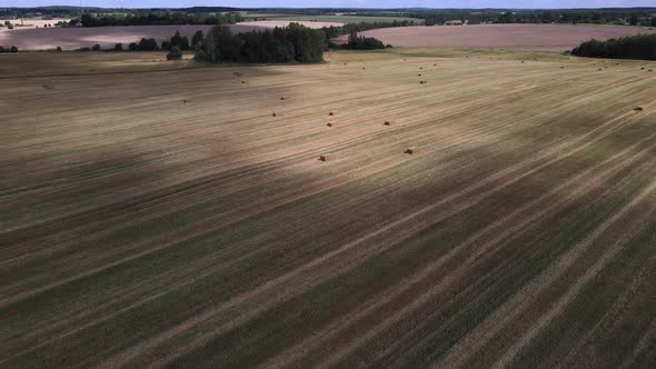 Bird'seye View of an Agricultural Field