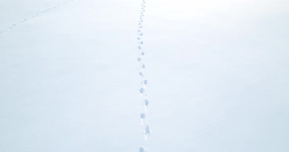 Deep Footprints In The Snow