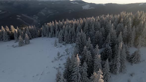 Drone Flying Above Winter Forest Unveiling Mountain Range