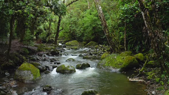 Aerial Drone View of River in Costa Rica Rainforest Scenery, Beautiful Nature with Water Flowing Thr alt