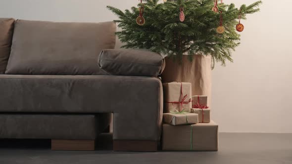 Slide Shot of Christmas Gifts Under Spruce Indoor with Warm Light
