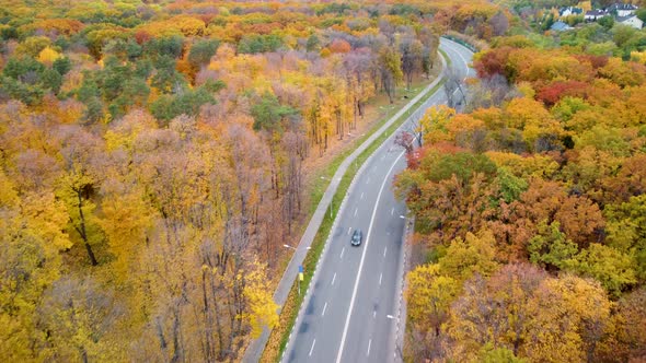 Aerial cars driving road in yellow autumn forest