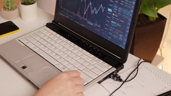 Woman Works at Home Evaluates Cryptocurrency Market Trader