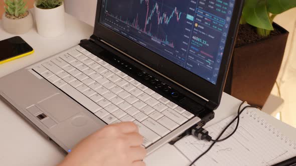 Woman Works at Home Evaluates Cryptocurrency Market Trader alt