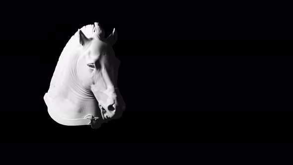 Horse head statue alt