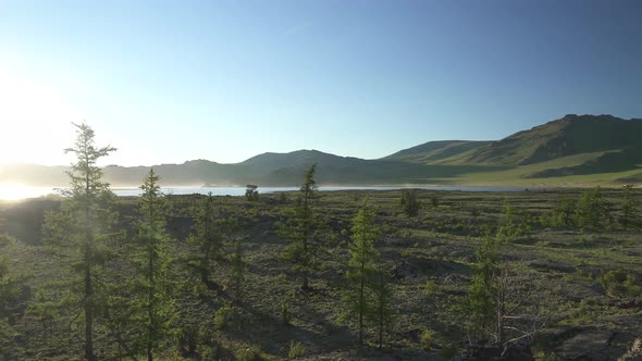 A Lake Among Tree Branches and Rocks alt