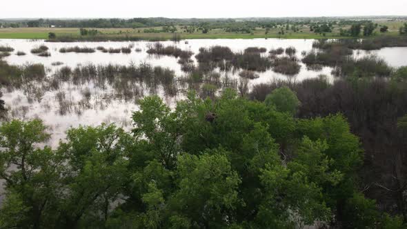 Wetland Landscape of the VolgaAkhtuba Floodplain in Russia in Summer alt