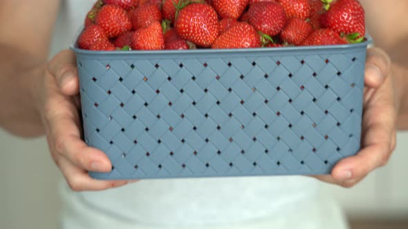 Close Up of Basket of Ripe Fresh Strawberry in Male Farmers Hands alt