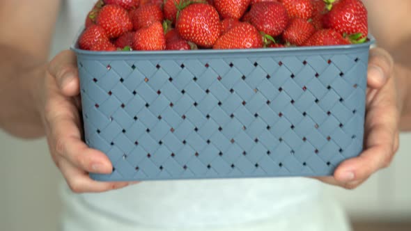 Close Up of Basket of Ripe Fresh Strawberry in Male Farmers Hands