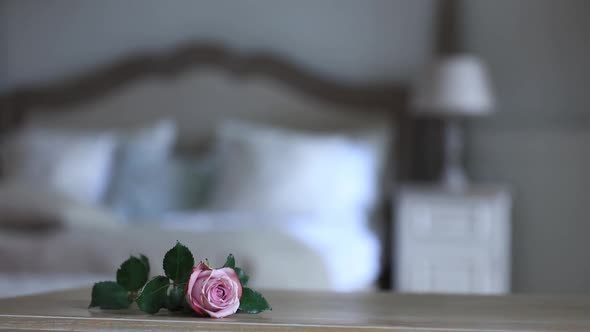 pink rose on wooden table with Fairy Lights in bedroom