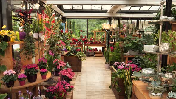 Flower shop interior alt