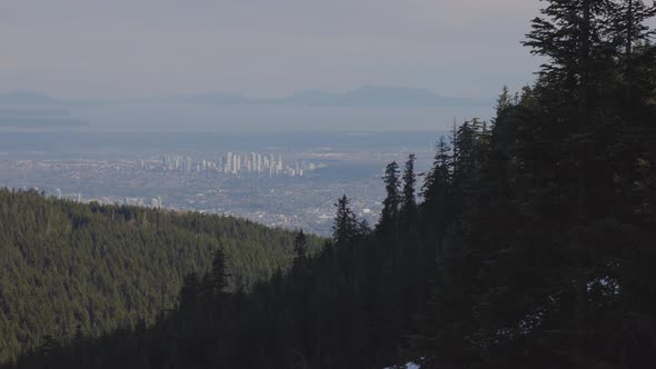 Colorful Sunset Over the Tree Top on the Mountain alt