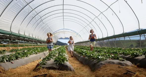 Girls running with bucket of strawberries in the farm 4k alt
