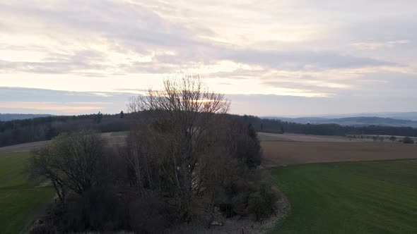 A small patch of mixed trees and bushes within large fields at sunset in Germany. Aerial fly by reve alt