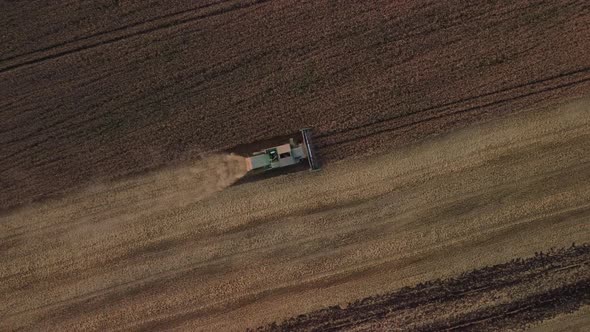 Top-down view of wheat harvester in the field