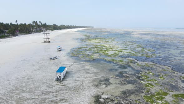 Ocean at Low Tide Near the Coast of Zanzibar Island Tanzania Slow Motion alt