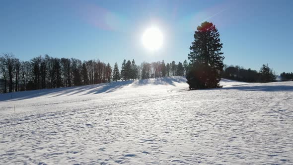 Snow covered field in sunlight